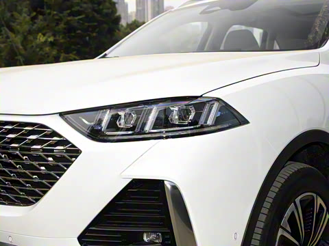 2022�� 1.5T DHT����