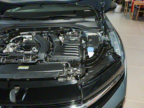 2024�� 300TSI DSG������