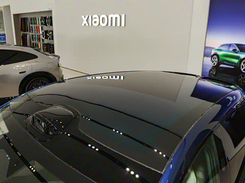 2025�� ��������������