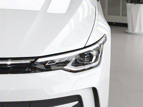 2025�� �Ŀ� 300TSI Pro