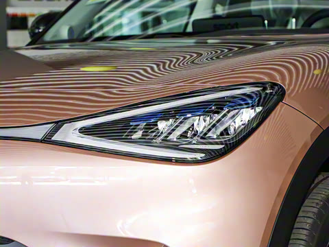 2026�� �鶯��������