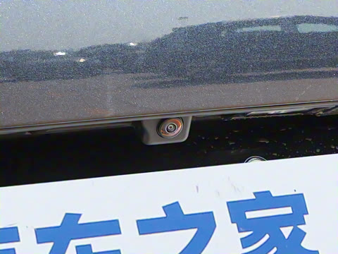 2025�� ������������ʿPRO��