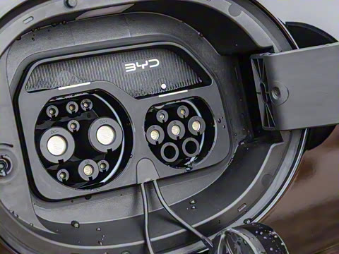 2025�� 135 �����ܼ����״��