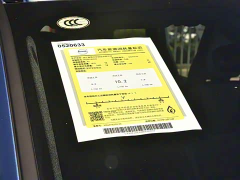 2021�� T5 ���������˶���