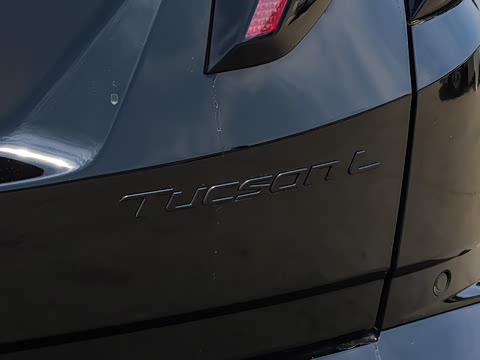 2025�� ;ʤL 1.5T ��Ӣ�� N-Line