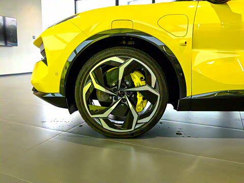 2025�� 900 ������