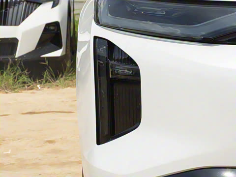 2025�� 115km Pro��