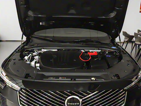 2026�� B5 ���ݺ�����