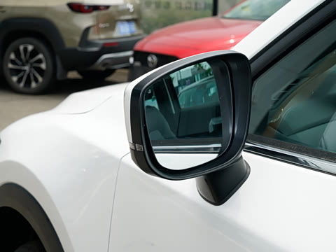 2025�� 2.0L �Զ���������Pro