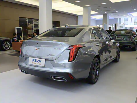 2023�� 25T ������