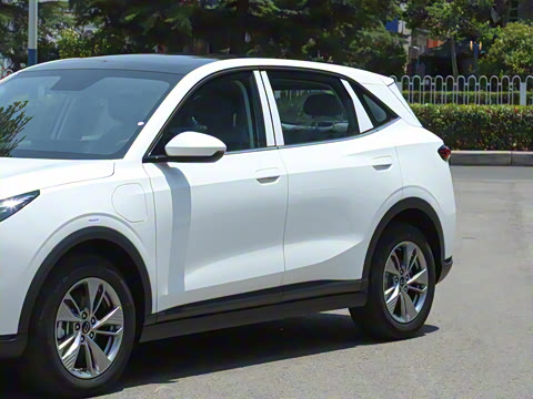 2025�� 445km ��ѡ��