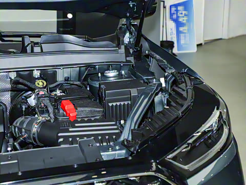 2025�� 290TGDI DCT�˷�� 