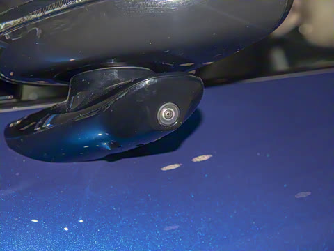 2025�� ������������������Max��