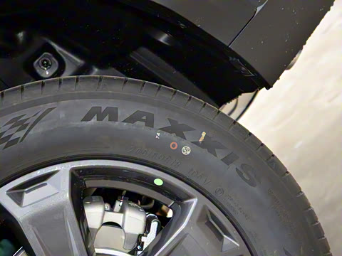 2025�� 2.0T 4WD Pro