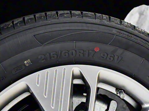 2025�� 445km ��ѡ��