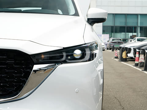 2025�� 2.0L �Զ���������Pro