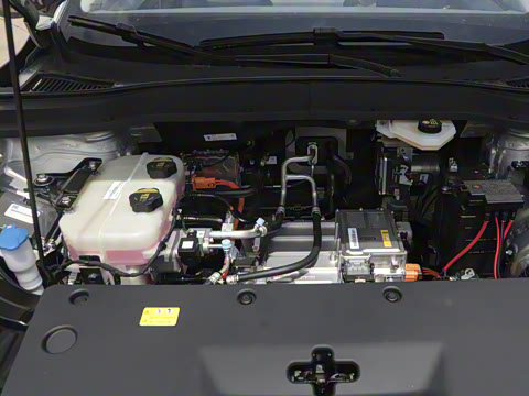 2025�� 445km ���ð�