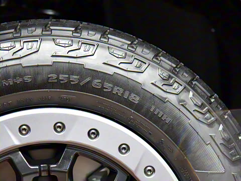 2023�� 1st Edition ����