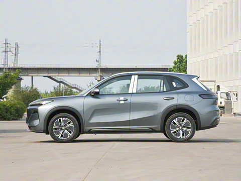 2025�� 55km ̽����