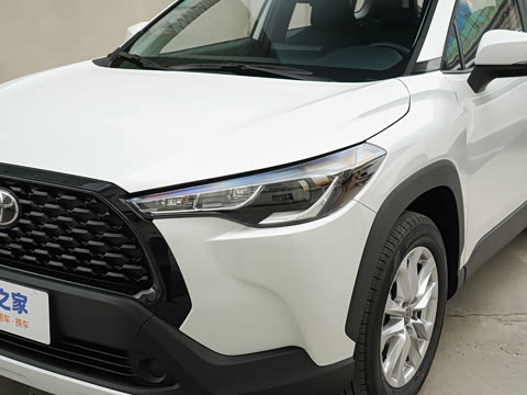 2023�� 2.0L ��Ӣ��