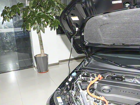 2025�� 2.0L e:HEV �춯Pro