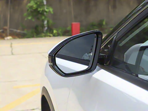 2025�� 205��������������