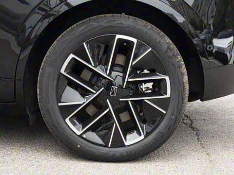 2025�� Max ���������