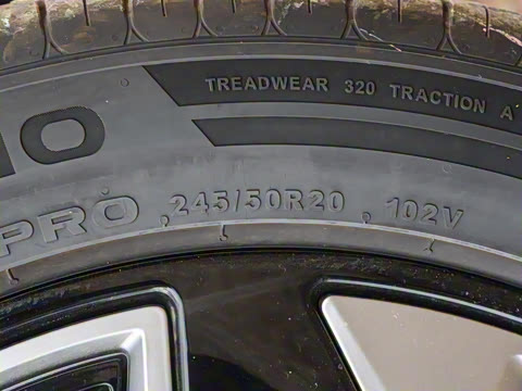 2025�� 135 �����ܼ����״��