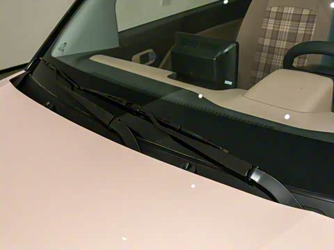 2025�� 205km ʥ����