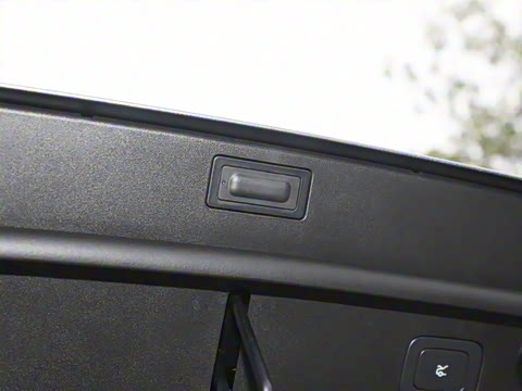 2025�� Max ������