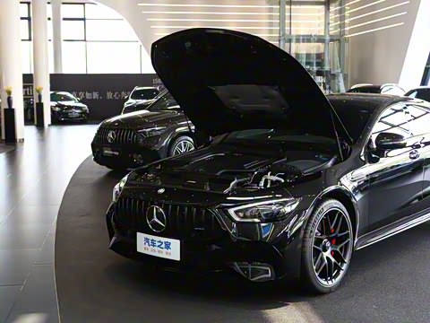 2025�� AMG GT 50 �����ܳ� �й��ر��