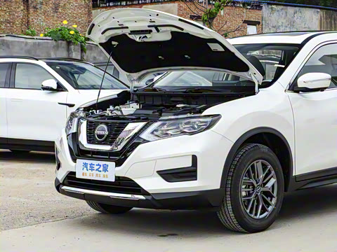 2025�� ���� 2.0L �������Ȱ�