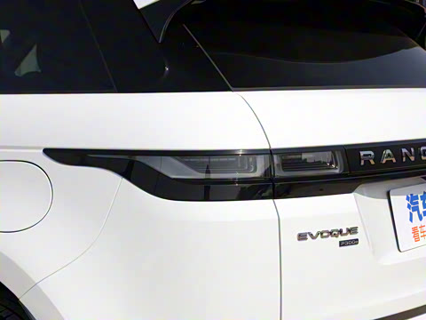 2022�� ����L P300e ���ʽ�綯��ϰ�