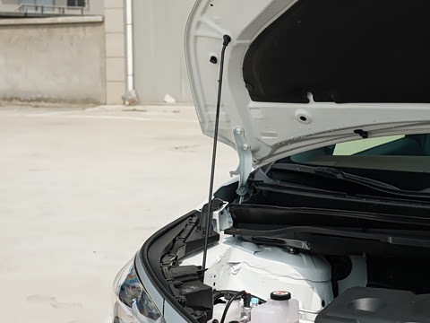 2023�� 2.5L�춯 �����