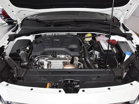 2018�� 20T �Զ����������� ��VI