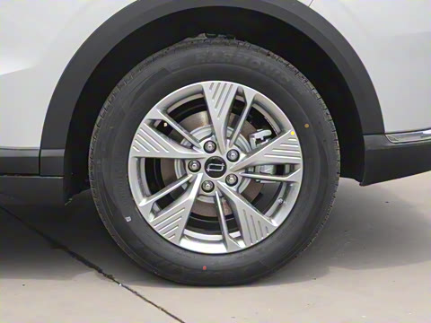 2025�� 445km ���ð�