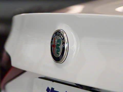 2019�� 2.0T 280HP Black Package�ڱ�������