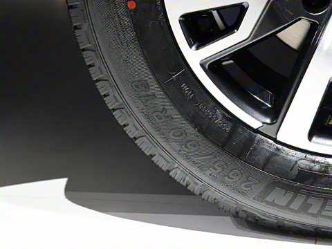 2021�� ������