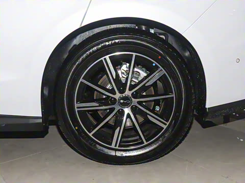 2025�� DM-i 150KM������