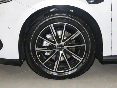 2025�� DM-i 150KM������