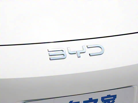 2025�� 520�ǻݰ�