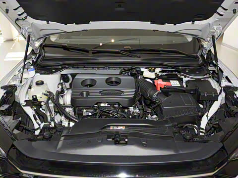 2023�� EcoBoost 180 ������