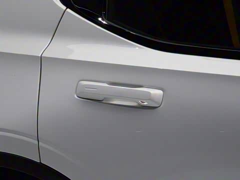 2020�� �׷���