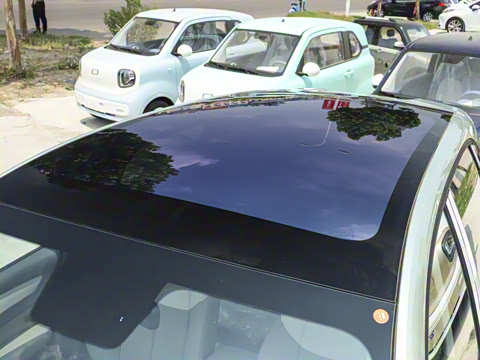 2025�� 565km ������