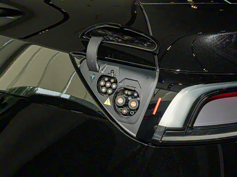 2025�� ����������