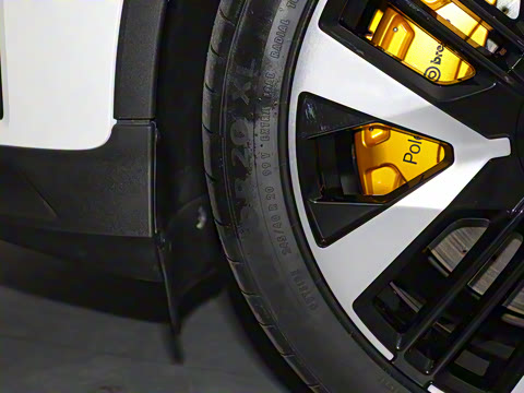 2024�� ˫���������