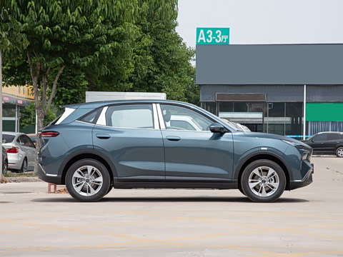 2025�� 445km ��ѡ��