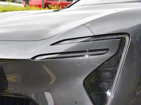 2025�� Max�����