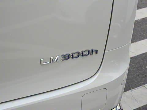 2020�� 300h ����������