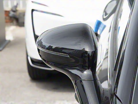 2025�� Max ���������